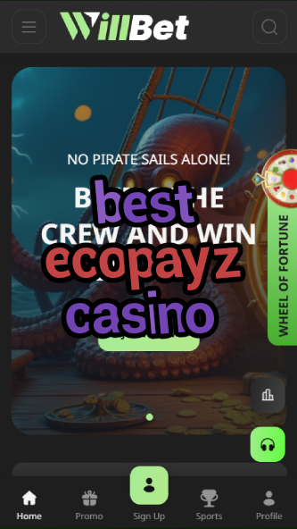 best ecopayz casino-asdasdzhjkds.com