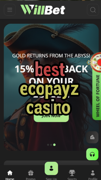 best ecopayz casino-asdasdzhjkds.com