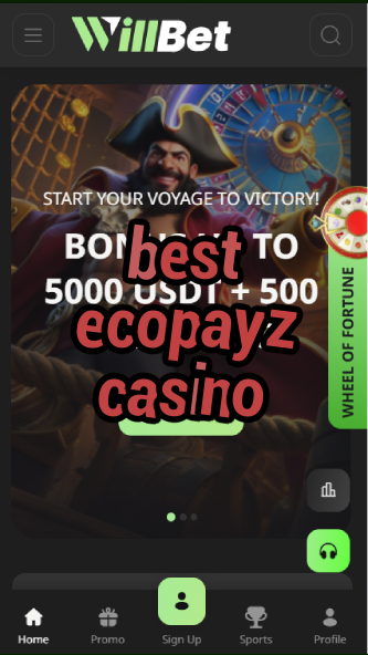 best ecopayz casino-asdasdzhjkds.com